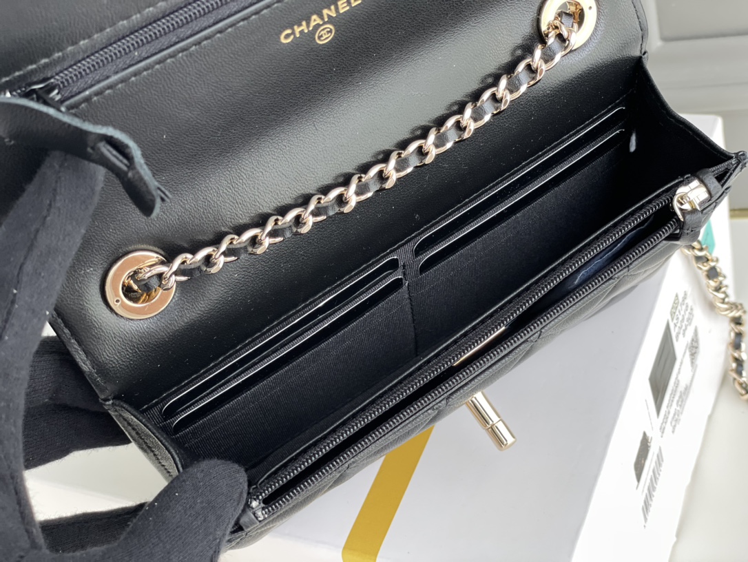 Chanel WOC Bags